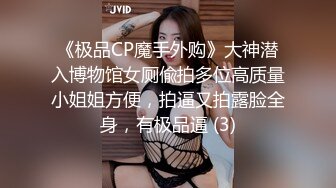 《极品CP魔手外购》大神潜入博物馆女厕偸拍多位高质量小姐姐方便，拍逼又拍露脸全身，有极品逼 (3)