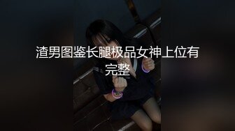 渣男图鉴长腿极品女神上位有完整