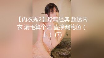 【内衣秀2】珍藏经典 超透内衣 漏毛算个啥 直接漏鲍鱼（上） (7)