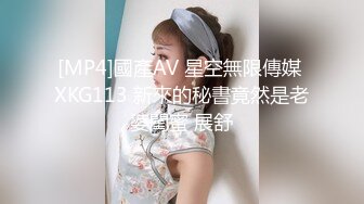 [MP4]國產AV 星空無限傳媒 XKG113 新來的秘書竟然是老婆閨蜜 展舒