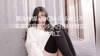 果冻传媒 GDCM-016老公不在家的寂寞少妇勾引身材墩实的水电工