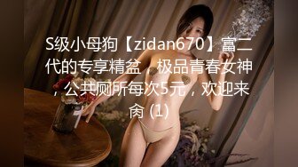 S级小母狗【zidan670】富二代的专享精盆，极品青春女神，公共厕所每次5元，欢迎来肏 (1)