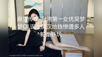 麻豆传媒-台湾第一女优吴梦梦OL误上痴汉地铁惨遭多人轮番奸玩