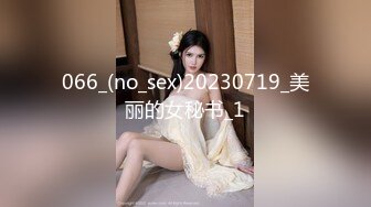 066_(no_sex)20230719_美丽的女秘书_1