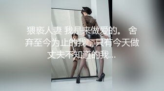 猥亵人妻 我是来做爱的。 舍弃至今为止的我，只有今天做丈夫不知道的我…